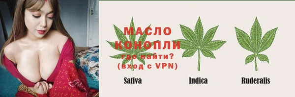 хмурый Мегион