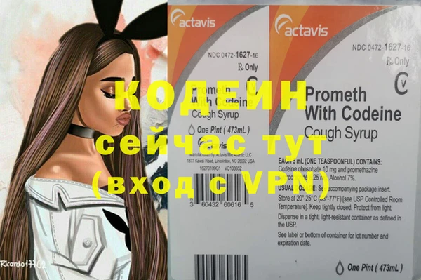 хмурый Мегион