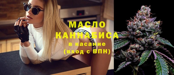 хмурый Мегион